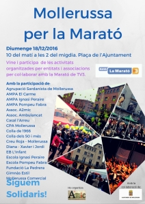 cartell-marato-2016